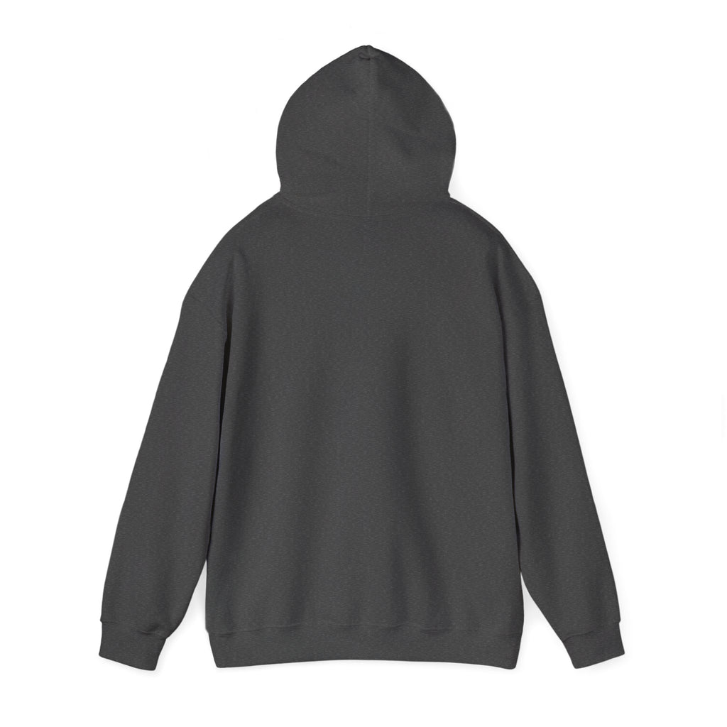Mountain Set Apart Hoodie™