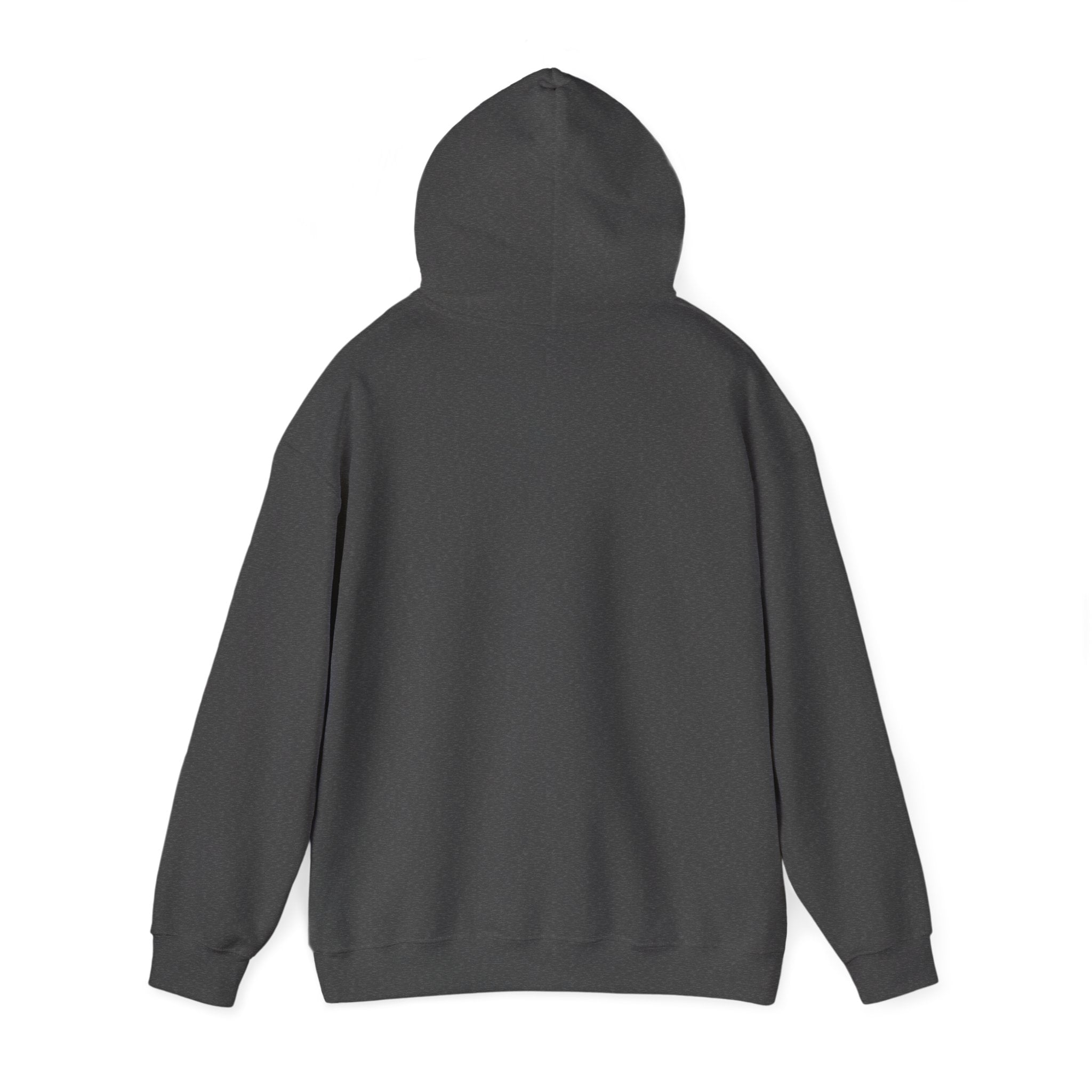 Mountain Set Apart Hoodie™
