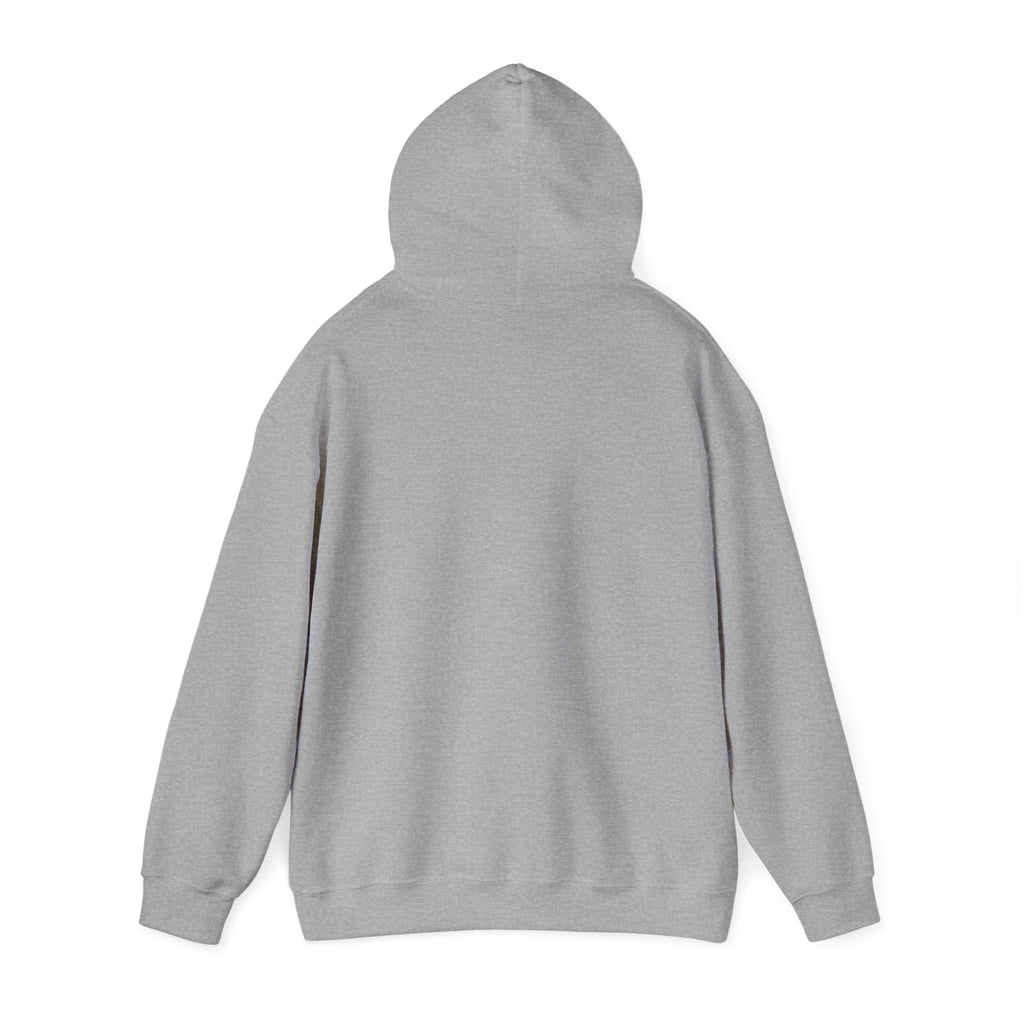 Mountain Set Apart Hoodie™