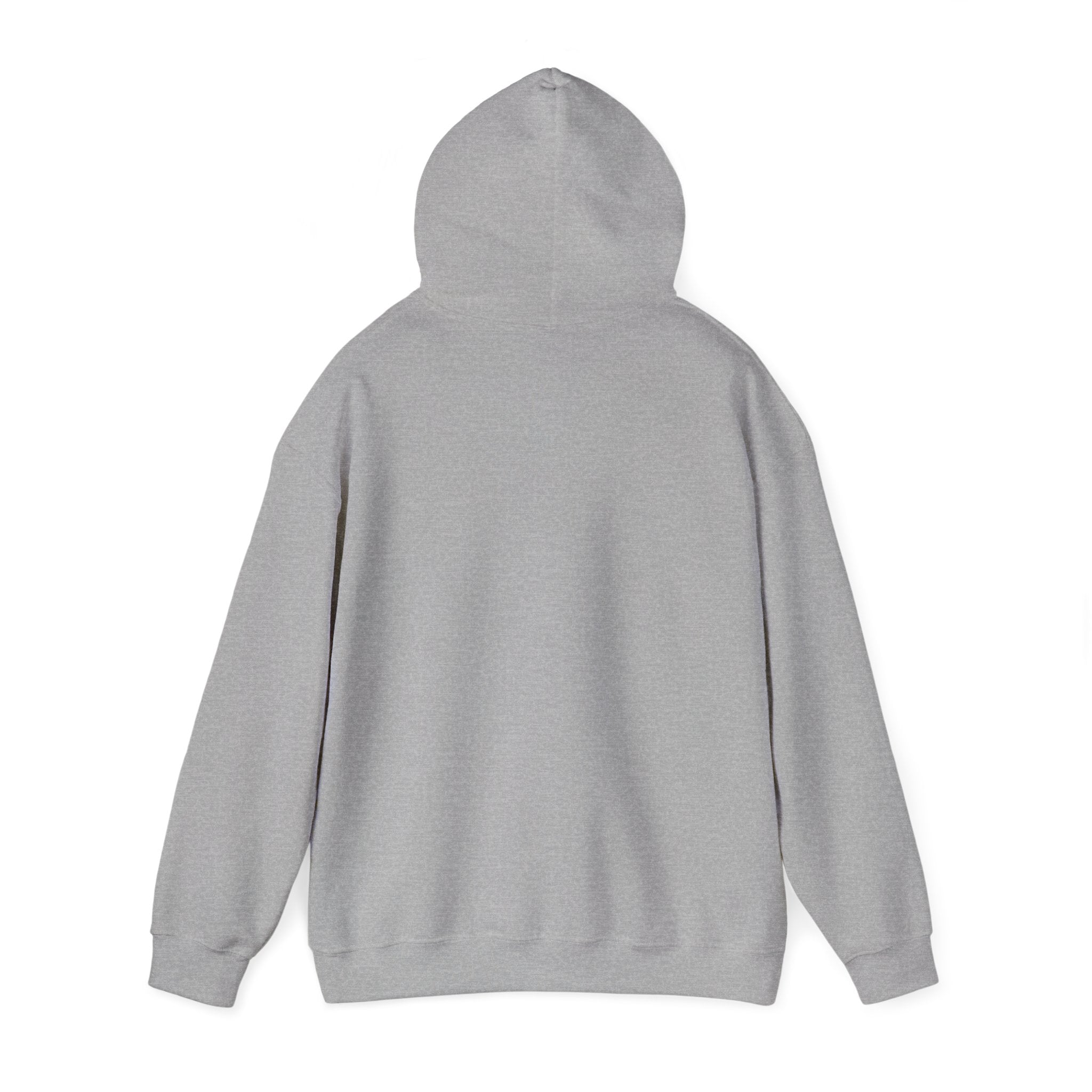 Mountain Set Apart Hoodie™